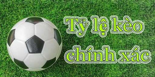 Hướng dẫn phương thức tính tỷ lệ kèo chính xác